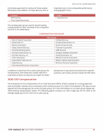 - 2020 CEO Compensation