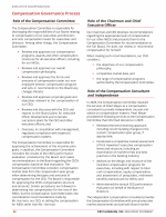 - Compensation Governance Process