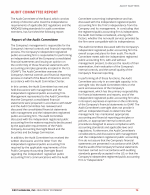 Audit Committee Report