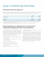 Audit Committee Matters