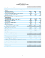 - Consolidated Statements of Cash Flows