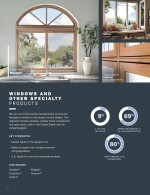 - Windows and Other Specialty Products