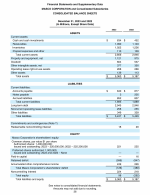 - Consolidated Balance Sheets