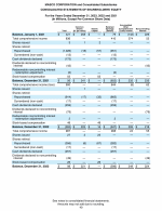 - Consolidated Statements of Shareholders' Equity