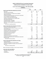 - Consolidated Statements of Cash Flows