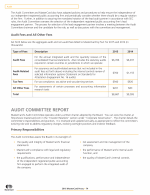 Audit Committee Report