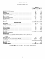 - Consolidated Balance Sheet