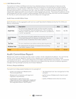 Audit Committee Report