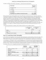 12. Goodwill and Other Intangibles