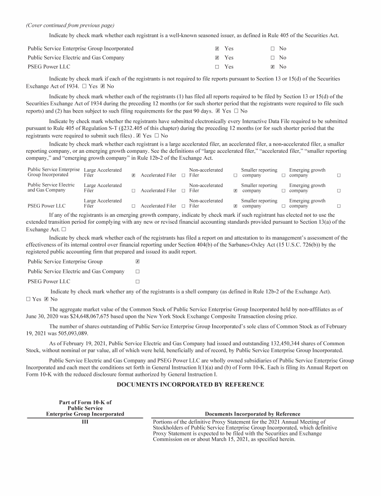 PSEG 2020 Form 10-K