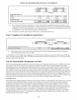 17. Schedule of Consolidated Capital Stock