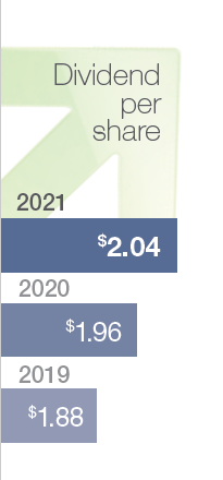 Divident Per Share