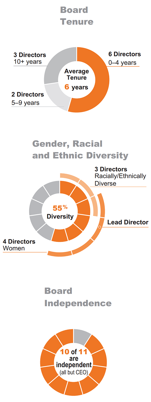 Director Nominee Stats