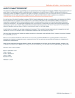 Audit Committee Report