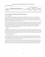 22. Financial Information by Business Segment