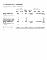 - Consolidated Statements of Changes in Stockholders' Equity