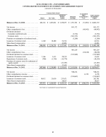 - Consolidated Statements of Common Stockholders' Equity