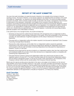 Report of the Audit Committee of the Board of Directors