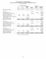 - Consolidated Statements of Common Stockholders' Equity