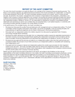 Report of the Audit Committee
